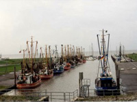 Der Kutterhafen an der südlichen Nordsee im Nordseebad Dorum